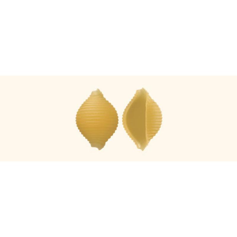 RUMMO CONCHIGLIE RIGATE nr42_500g